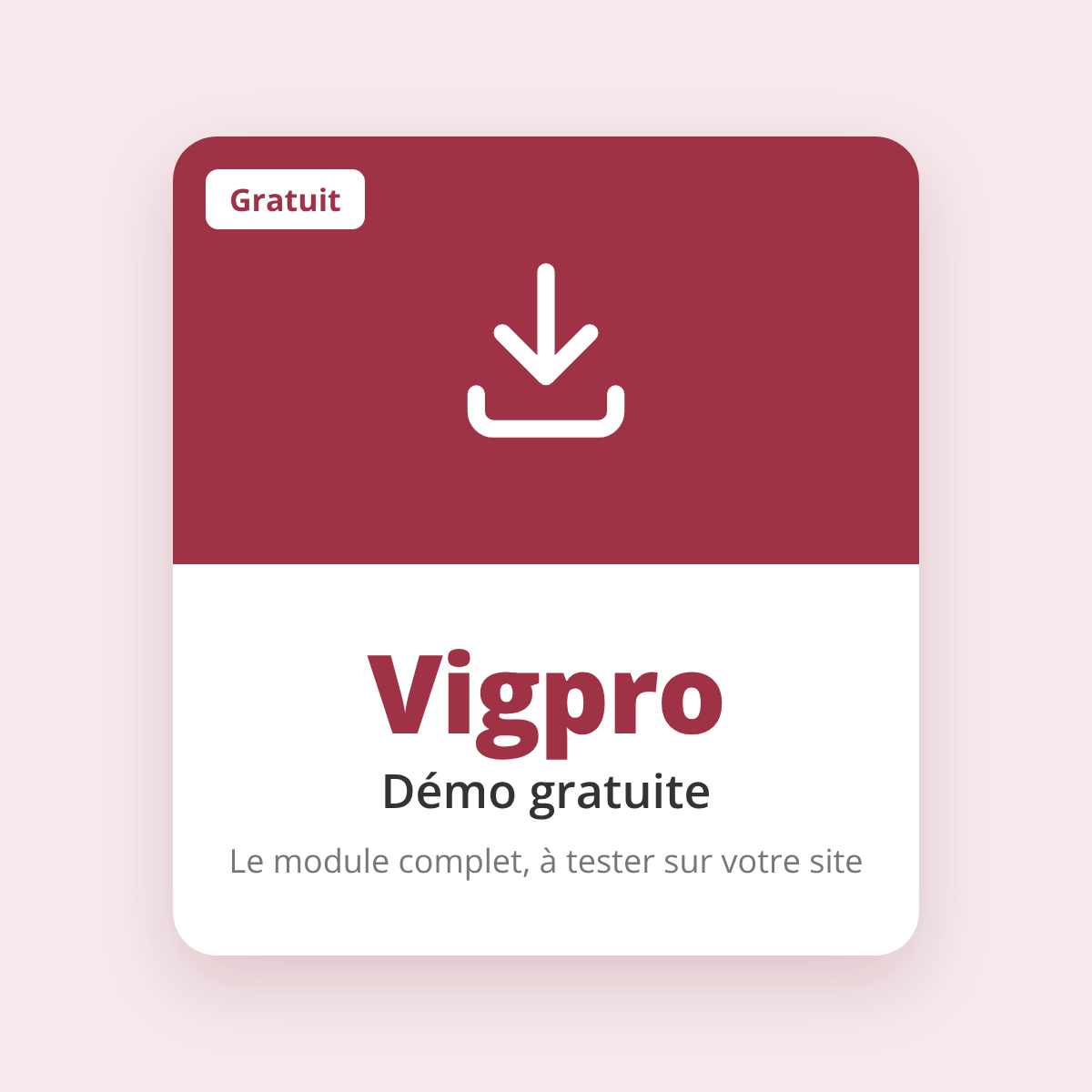Vigpro – version démo gratuite