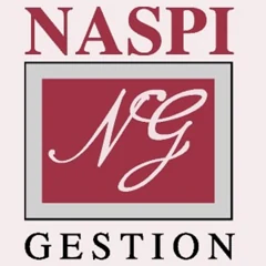 Logo Naspi-Gestion SA
